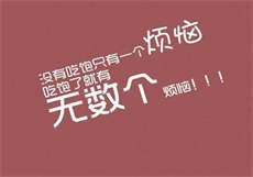 麻豆印象是什么
